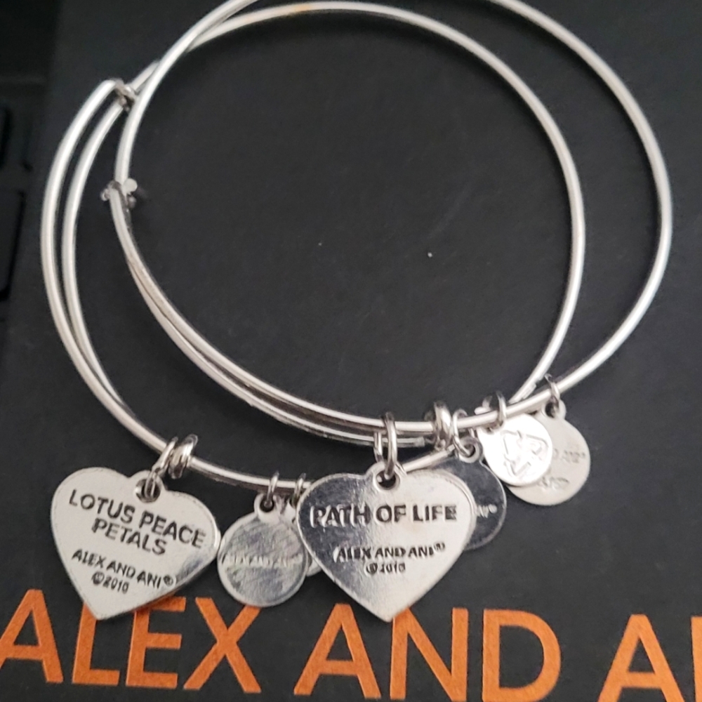 Alex and Ani Shiny Silver Bracelet